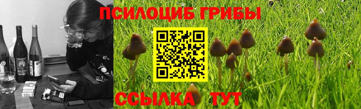 Галлюциногенные грибы ЛСД  Галлюциногенные грибы Psilocybine cubensis  закладки  Вход с VPN  Кизилюрт 